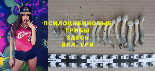 трава Абаза