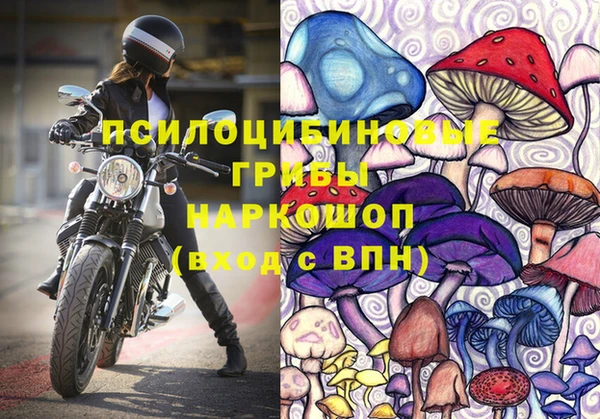 2c-b Алексин