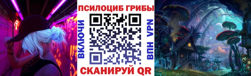 Псилоцибиновые грибы Psilocybe  Златоуст 